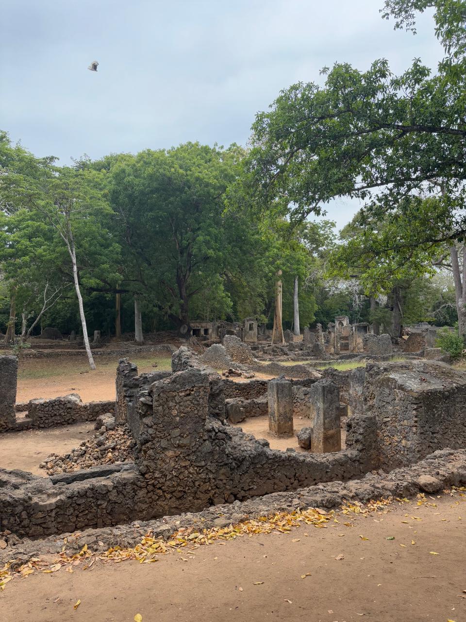 Culture photo from Explore Watamu Tours