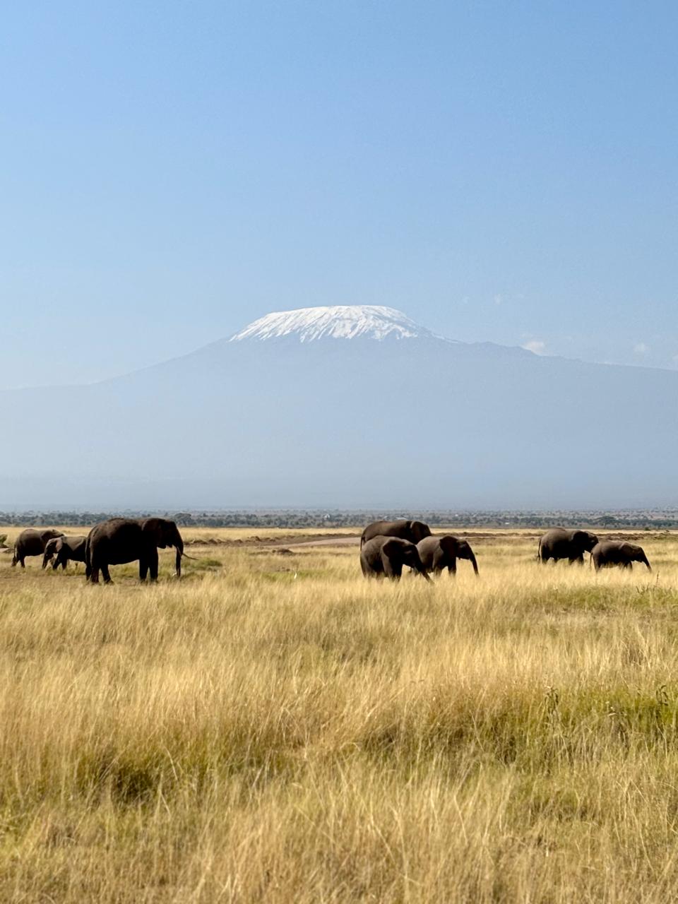 Tsavo East to Amboseli National Park