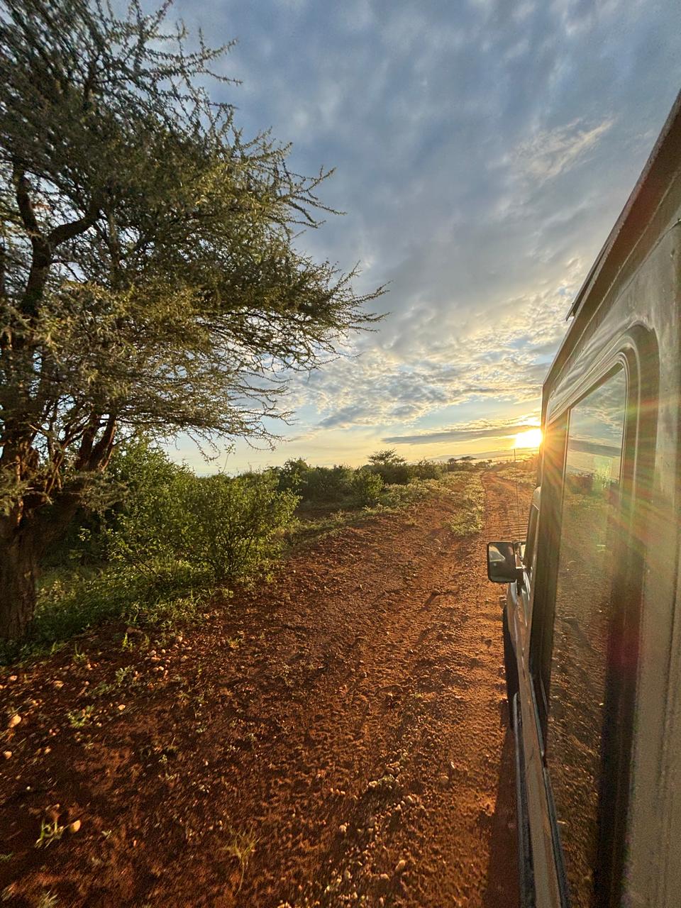 Sunrise Safari and Return