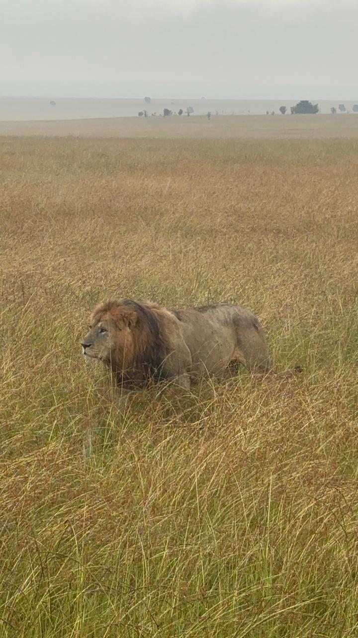 From Taita Hills to Tsavo East National Park