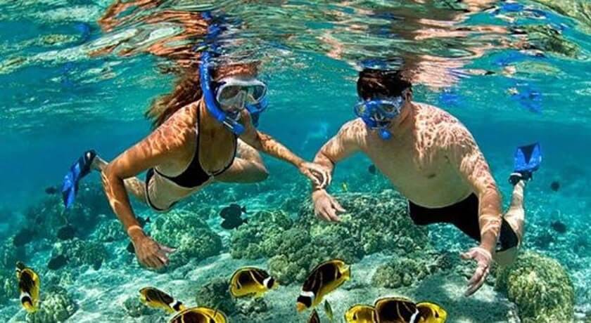 A Natural Paradise of Tropical Fish
