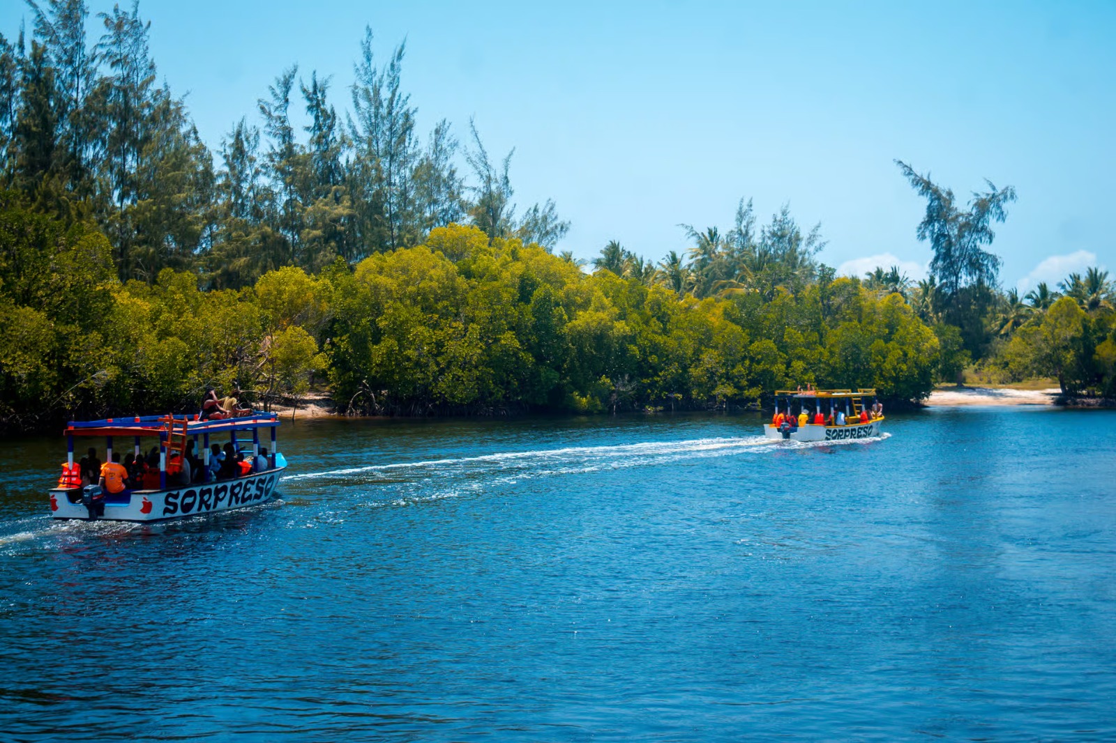 Safari Blu – Mangroves & Boat Excursions photo 5