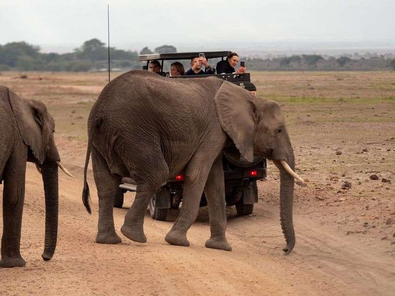 3 Days / 2 Nights Safari – Tsavo East & Amboseli National Park