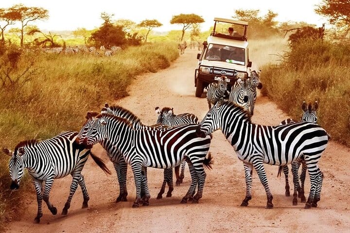 3 Days / 2 Nights Safari – Tsavo East & Amboseli National Park photo 4