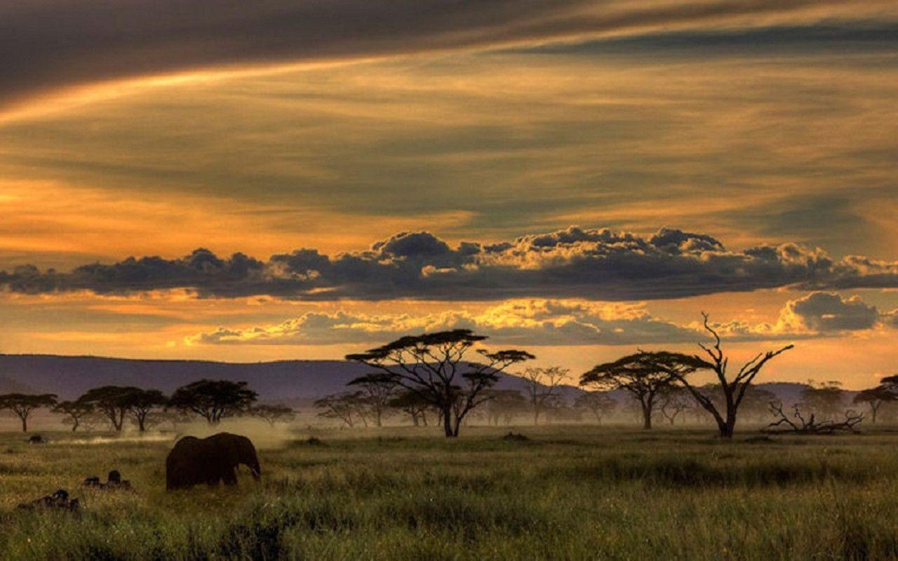 5 Days / 4 Nights Safari – Masai Mara, Amboseli & Tsavo East